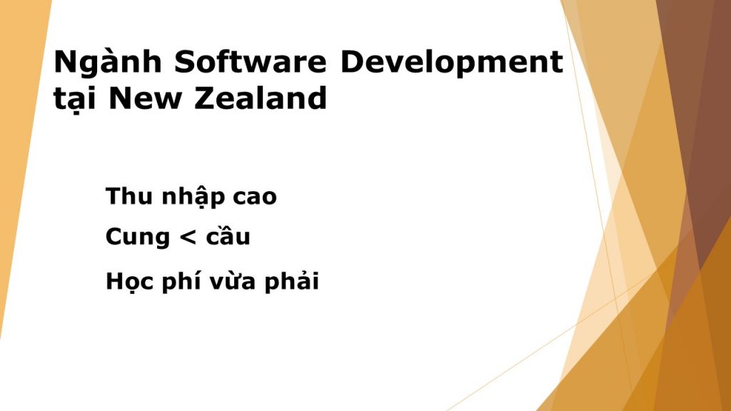 software development-Edenz Colleges